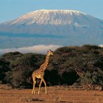 Co dělat a kam se podívat v Tanzanii 8