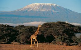 Co dělat a kam se podívat v Tanzanii 1