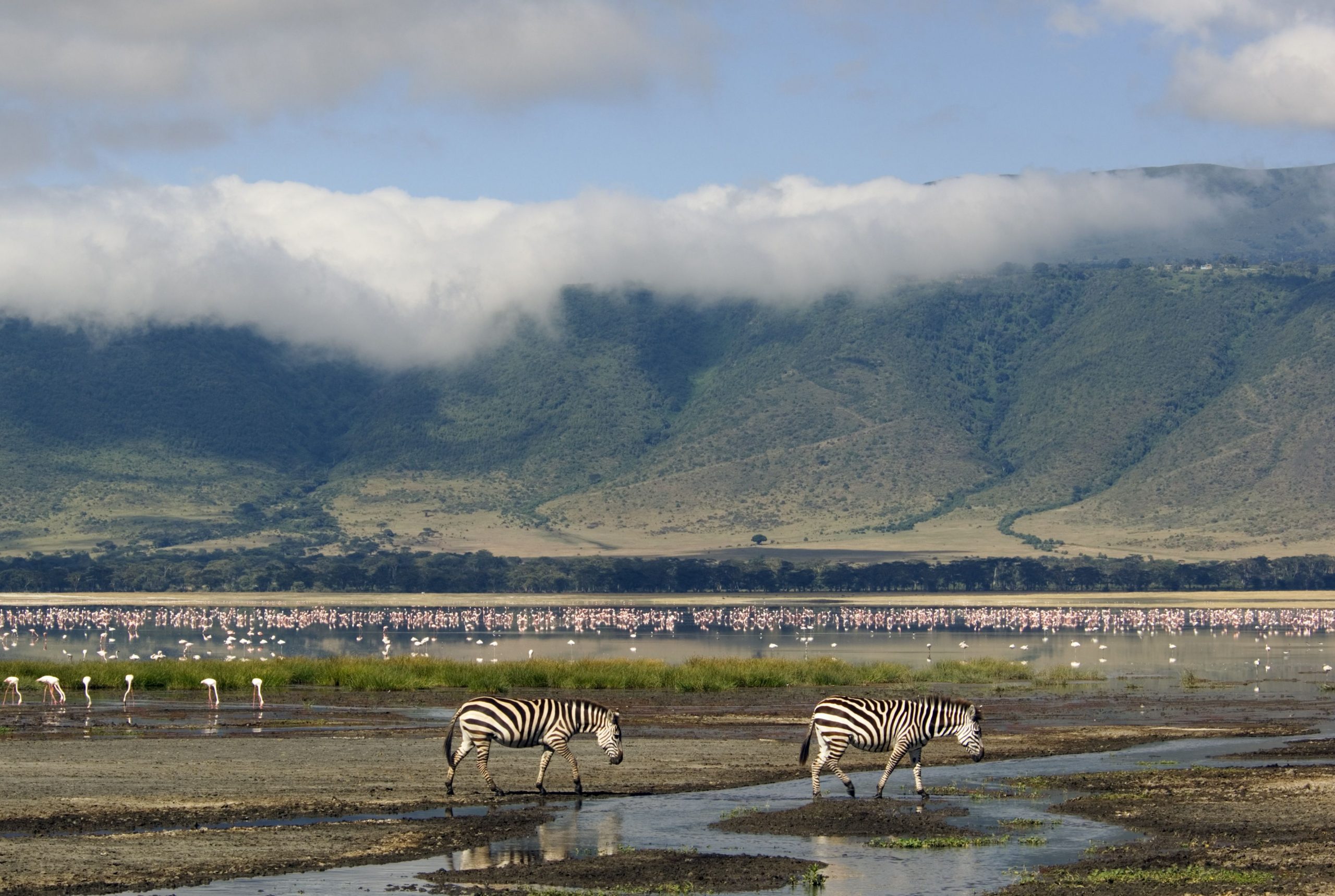 15 atrakcí Tanzanie 2