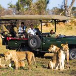 Nejlepší národní parky v Botswaně 3