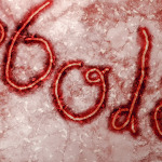 Ebola.com je na prodej - kdo ji první dostane? 8