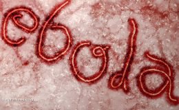 Ebola.com je na prodej - kdo ji první dostane? 37