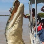 Obr zabiják - Takto vypadá největší krokodýl na světě 8