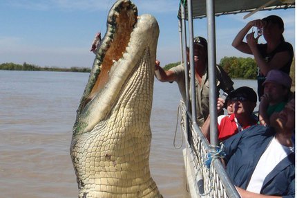 Obr zabiják - Takto vypadá největší krokodýl na světě 1