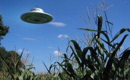 Havárie UFO v Brazílii - přísně tajné! 38