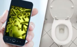 Takový humus roste na vašem telefonu! 1