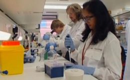 Zvířata, která vědci objevili až loni 10