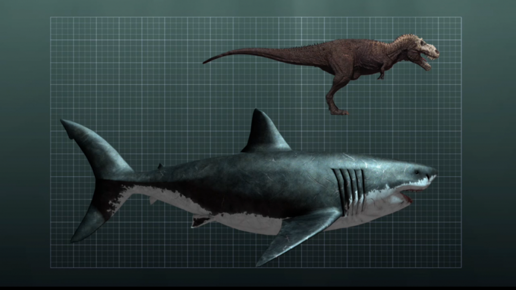 Megalodon