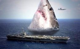 Deset faktů o Megalodonovi. Byl to postrach oceánů 6