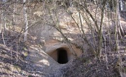 Tomu se říká chytrá žena! Kryt z druhé světové předělala na ... 8