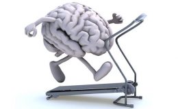 Období zkoušek se blíží. Takto si zlepšíte paměť 4