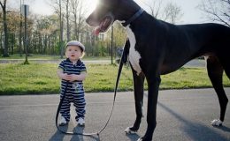 Psi, které byste přítelkyni do kabelky rozhodně nedaly 5