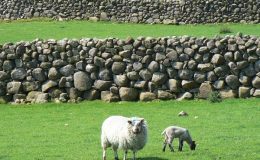 Tisícileté zdi bez malty a betonu stále stojí. Jak je to možné? 5