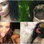Kim Kardashian versus mopslík: Kdo se vám líbí víc? 4