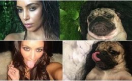 Kim Kardashian versus mopslík: Kdo se vám líbí víc? 38