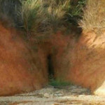 Nejkrásnější vagíny na planetě 9
