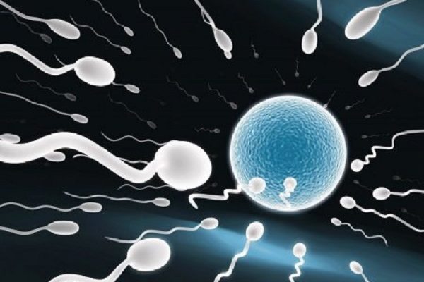 5 věcí, které netušíte o spermiích 1