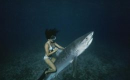 Žralok jako vodní skútr? Tito lidé jsou šílenci 4