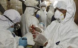 Pandemie, které zabily nejvíce lidí. Podlehli jim miliony 9