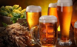 O plzeňském pivu (Pilsner) 5