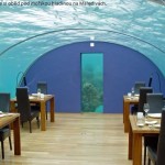 Nejzvláštnější restaurace světa: Jedli byste v nich? 11