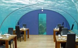 Nejzvláštnější restaurace světa: Jedli byste v nich? 5
