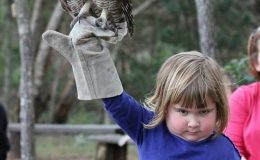 Ďábelské dívka se sovou: Internet si ji podal 9