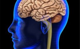 Otřes mozku a jeho následky by u dětí mohl odhalit plivanec 9