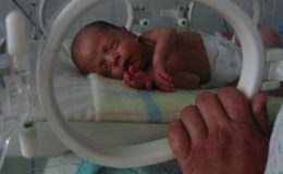 Předčasné porody 6