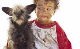 Psi mohou ochránit děti před alergiemi a obezitou 4