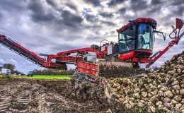 Zrušení kvót na výrobu cukru v Evropě vede k růstu produkce 6