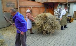 Nedělejme pohromu ze Zemana 5