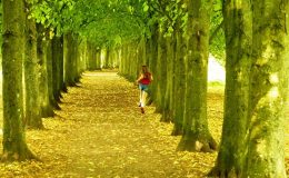 Rostlinná magie - zachraňuje naše zdraví, klima i čas 2