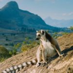 MADAGASKAR - ZEMĚ LEMURŮ 7