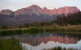 WYOMING: PRVOTŘÍDNÍ LUXUS V DIVOČINĚ! 38