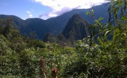 Machu Picchu – jak si prohlédnout nejslavnější památku Peru odpovědně 9