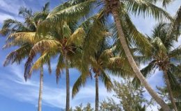 BAHAMY - IDEÁLNÍ MÍSTO PRO RELAX 3