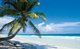 MEXIKO: VYDEJTE SE PO STOPÁCH MAYSKÉ KULTURY A RELAXUJTE NA NEJKRÁSNĚJŠÍCH PLÁŽÍCH KARIBIKU 6