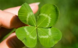 TŘI ZÁSADY ŠŤASTNÉHO ŽIVOTA 9