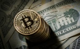 INVESTOŘI VYDĚLÁVAJÍ MILIONY NÁKUPEM STÁTNÍCH BITCOINŮ V AUKCÍCH 39
