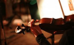 VZÁCNÉ HOUSLE STRADIVARIUS,KTERÉ LEŽELI V ŠATNÍKU DESÍTKY LET POPUTUJÍ POD KLADÍVKO 7