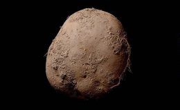 UMĚLECKÁ FOTOGRAFIE BRAMBORY ZA MILION DOLARŮ 36