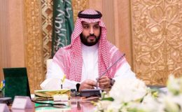DA VINCIHO OBRAZ VYDRAŽENÝ ZA 450 MILIONŮ DOLARŮ. ZÍSKAL HO SAUDSKOARABSKÝ PRINC 7