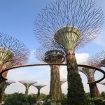 5 NEJVYHLEDÁVANĚJŠÍCH MÍST V CENTRU SINGAPURU 16