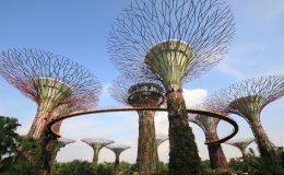 5 NEJVYHLEDÁVANĚJŠÍCH MÍST V CENTRU SINGAPURU 2