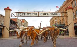 Texas a jeho atrakce 1