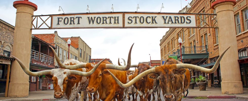 Texas a jeho atrakce 1
