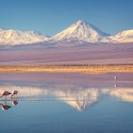Poušt Atacama v severním Chile 8
