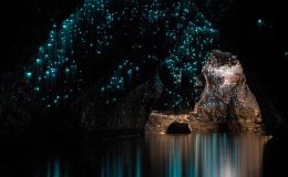 Přírodní atrakce ve Waitomo, Nový Zéland 8