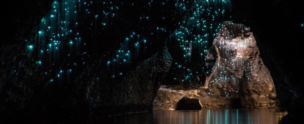 Přírodní atrakce ve Waitomo, Nový Zéland 1